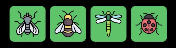 FLIES Daily Combo 21 April 2025